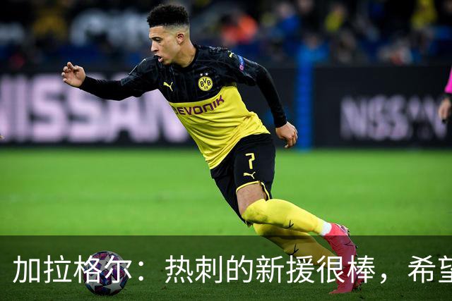 加拉格尔：热刺的新援很棒，希望踢好新赛季
