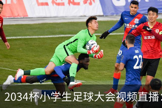 2034杯小学生足球大会视频直播：董路中国足球小将蓝队VS西藏攀峰足球俱乐部！！